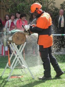 Z DEMOSTRACION  CAMPO ESPAMICA